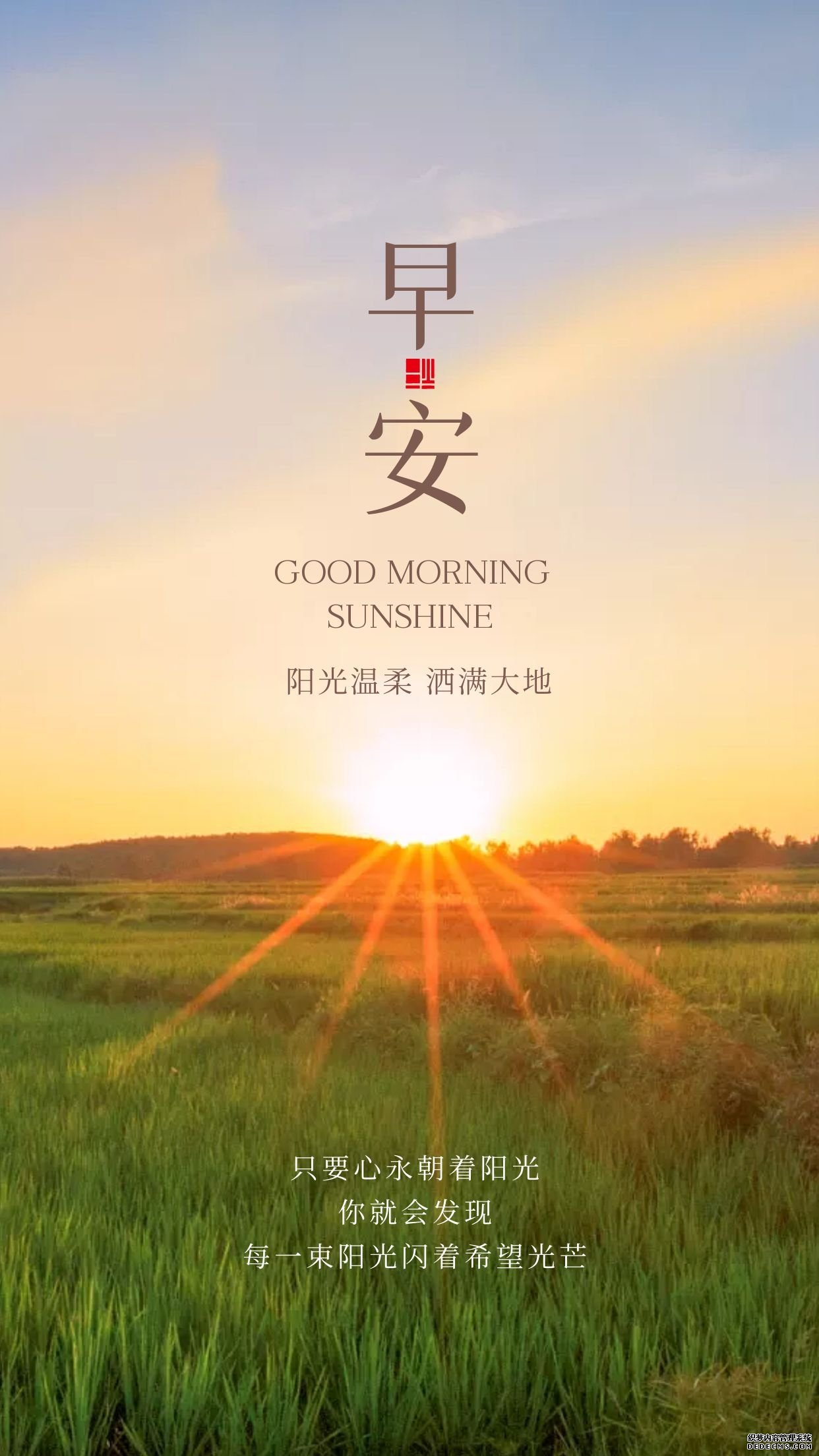 正能量奋斗早安语录带图片，生活给你压力，你就还它奇迹