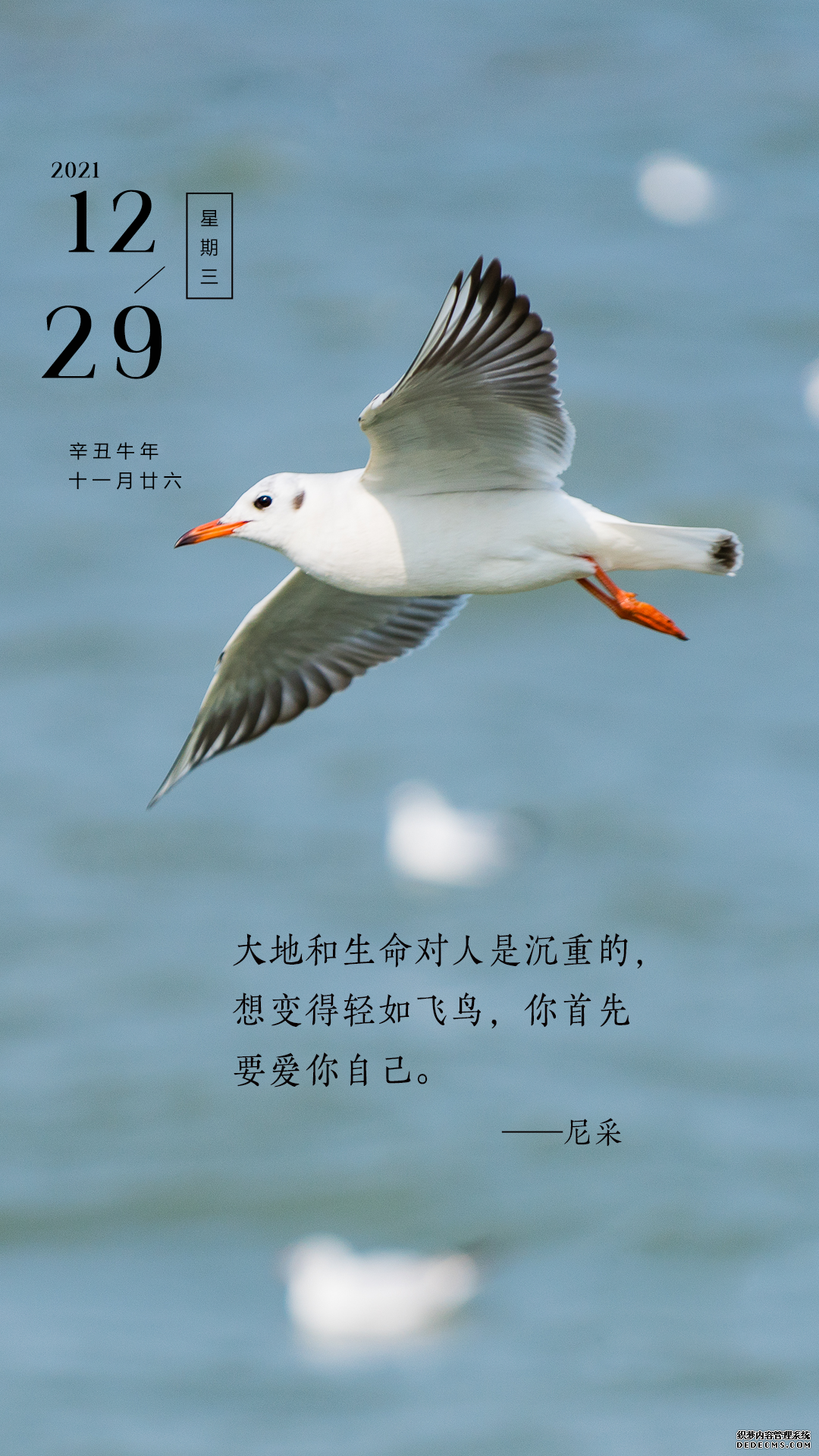 励志积极的早上好文案配图片，与其向往，不如出发！