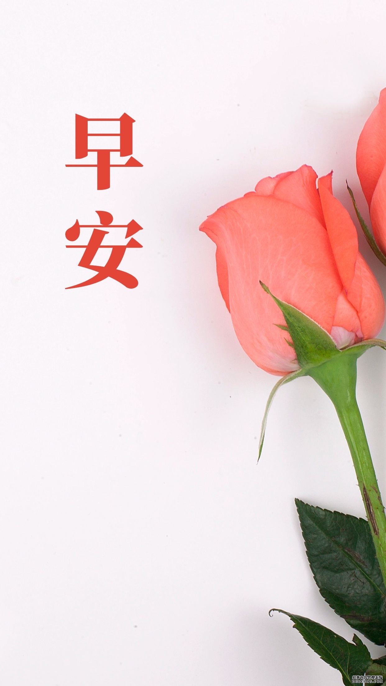 励志积极的早上好文案配图片，与其向往，不如出发！